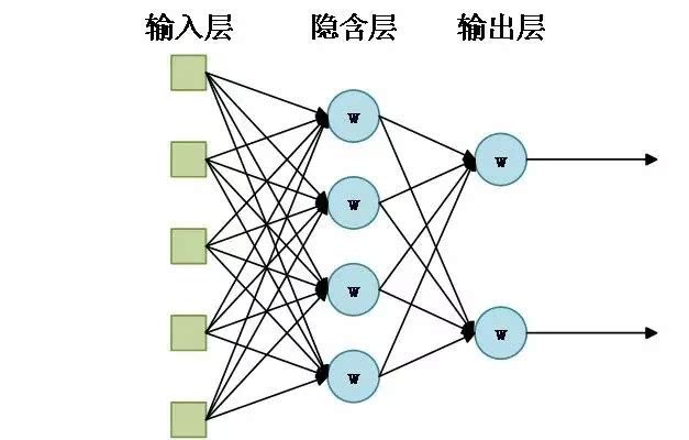 脑神经排名_脑神经元图片(3)