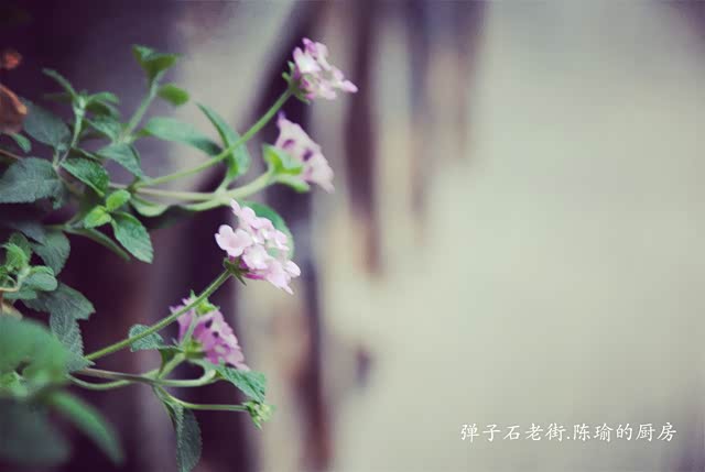 【已覺春心動,俏麗佳人打卡網紅地】自駕強烈推薦,處處美景 38 【已覺春心動,俏麗佳人打卡網紅地】自駕強烈推薦,處處美景 7