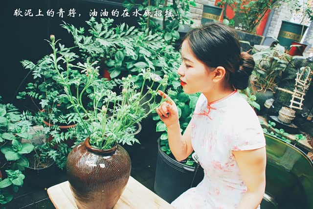 【已覺春心動,俏麗佳人打卡網紅地】自駕強烈推薦,處處美景 34 【已覺春心動,俏麗佳人打卡網紅地】自駕強烈推薦,處處美景 4