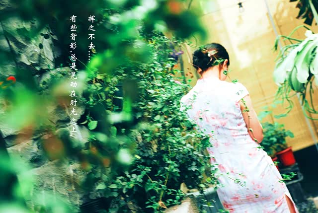 【已覺春心動,俏麗佳人打卡網紅地】自駕強烈推薦,處處美景 40 【已覺春心動,俏麗佳人打卡網紅地】自駕強烈推薦,處處美景 9
