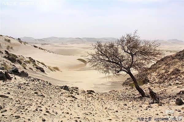 风在吼 马在叫 单车科尔沁穿越记