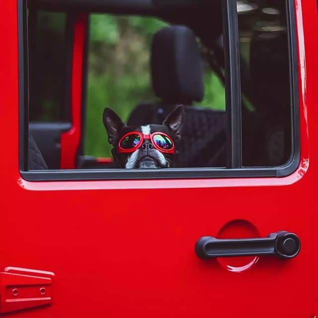 带啥颜色眼镜开啥颜色的车:jeep