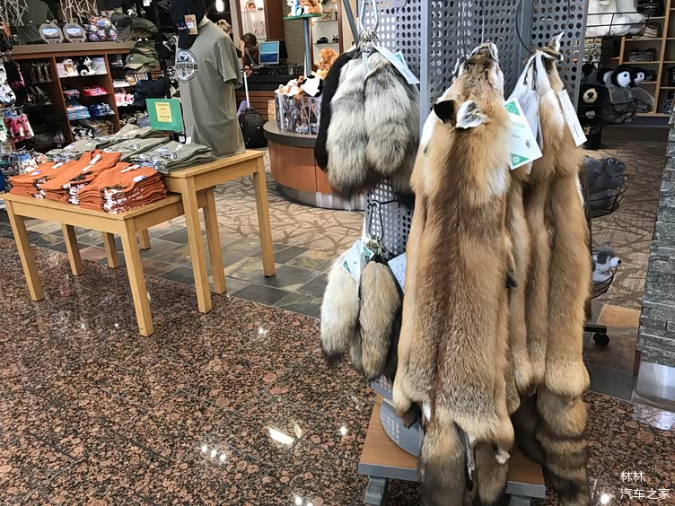 挑战美国死亡公路--逃离北上广铁板烧盛夏之阿拉斯加避暑自驾游记