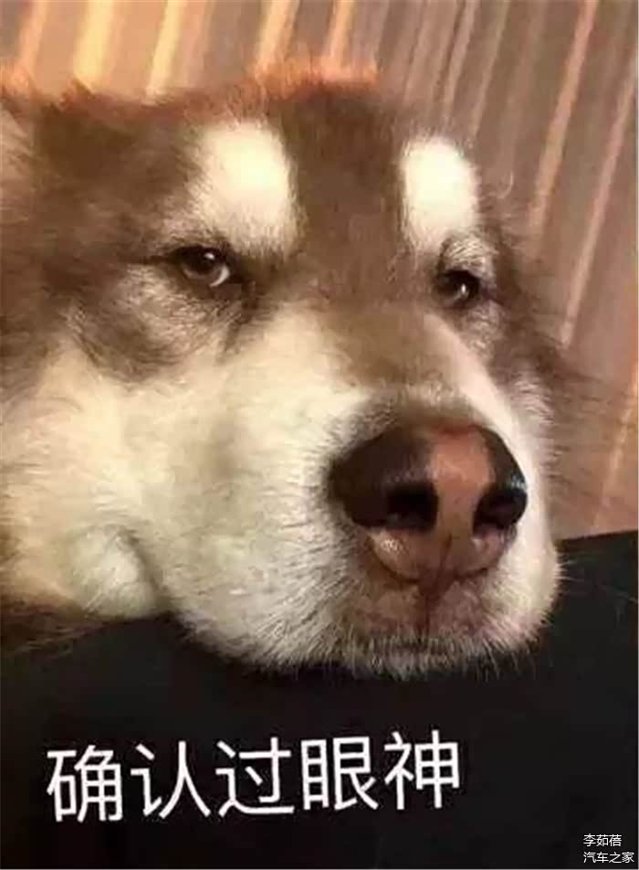 确认过眼神之后 体会广汽传祺GA4的四个不将