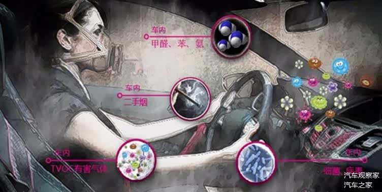 怎么去除车里甲醛 5